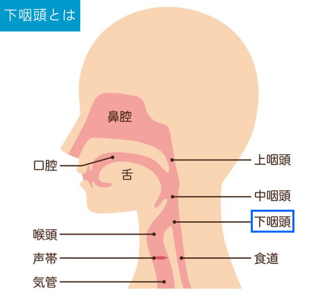 下咽頭がん治療はogc大阪がんクリニック 病院の下咽頭癌治療専門情報