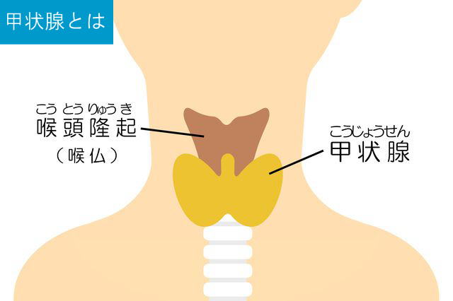 その他の治療法