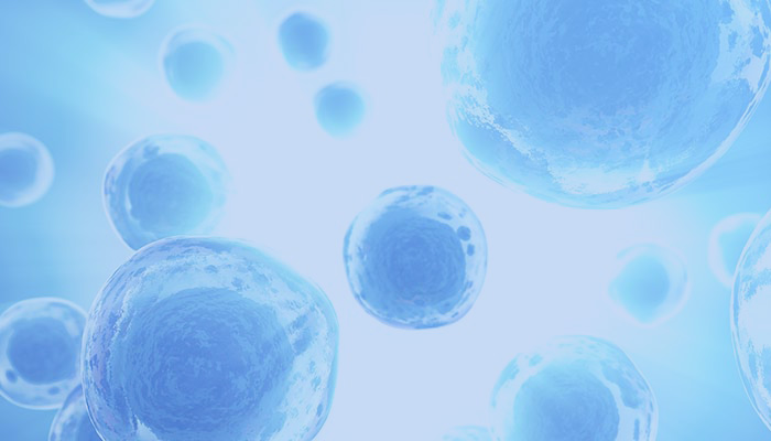 自家がんワクチン免疫治療