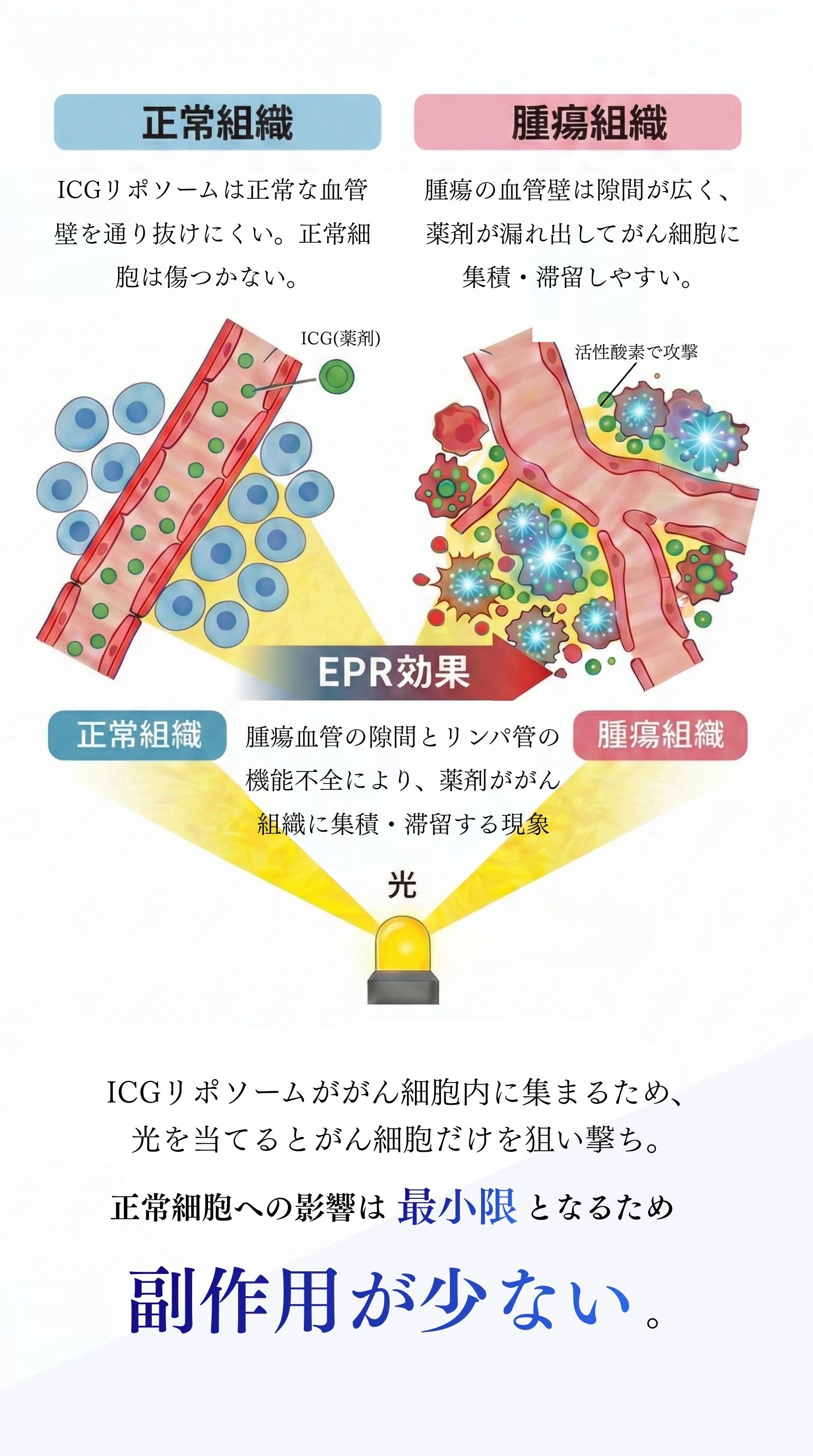 EPR効果により副作用が少ない