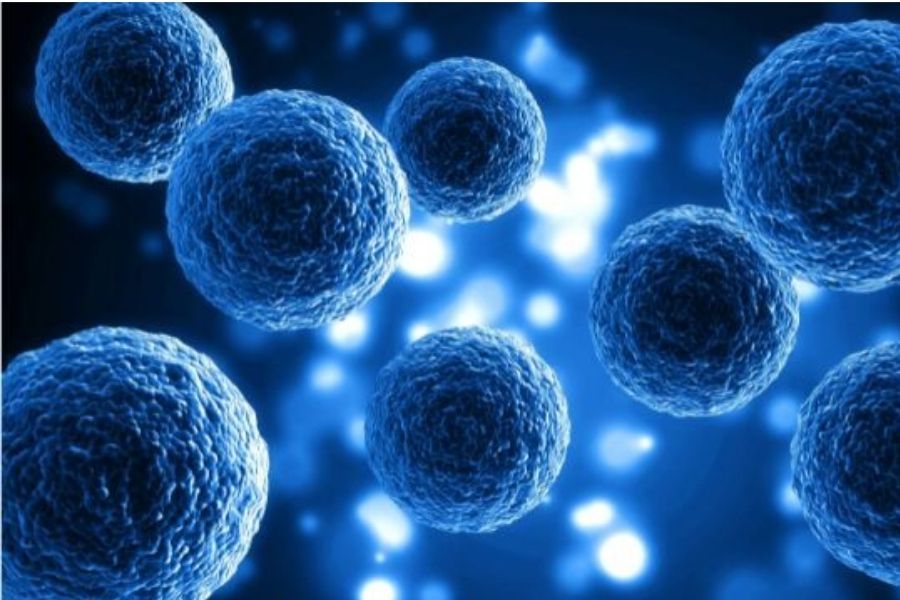 全てのステージにも有効