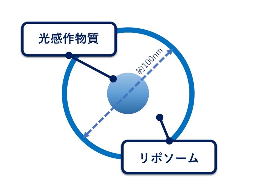 光感受性物質